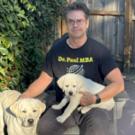 Business Plan Writer