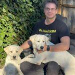 Dr. Paul Borosky, MBA – Professional Business Plan Writer, Consultant, and Financial Model Expert