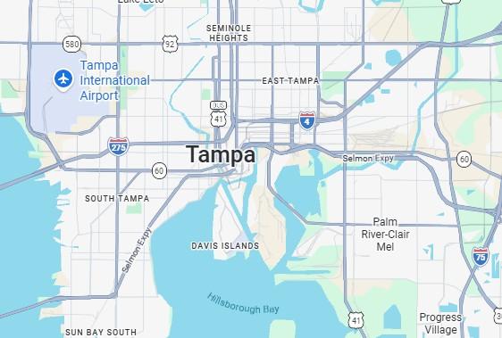 Tampa Business Plan Writer Dr. Paul